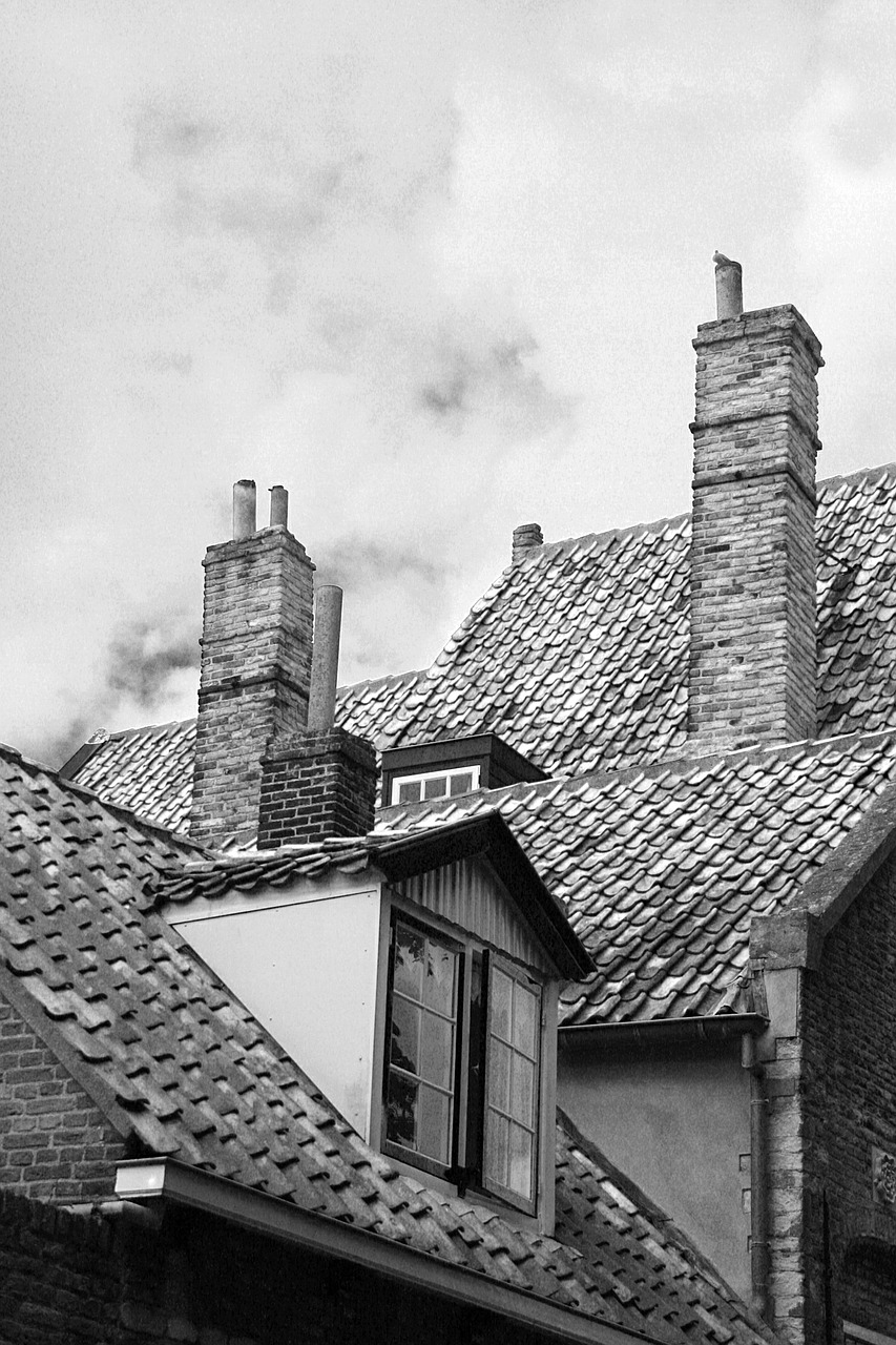 roofs chimney homes free photo
