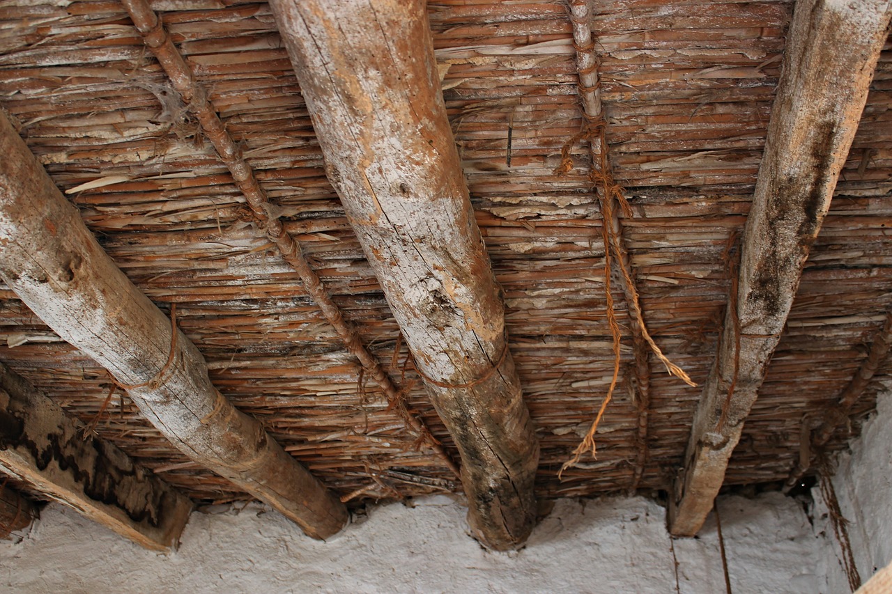 roofs cañas manual free photo