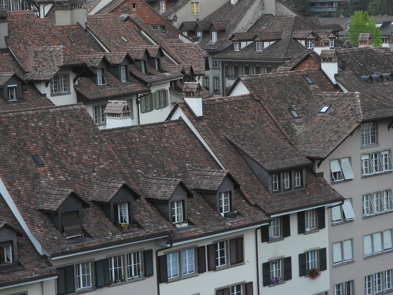 roofs tile roof old town free photo