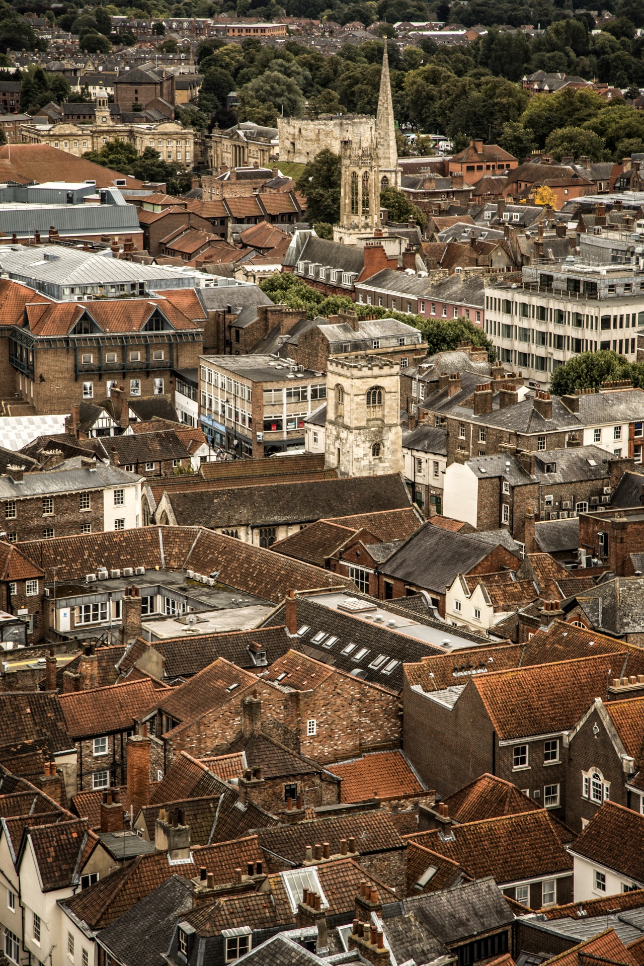 roofs roof house free photo