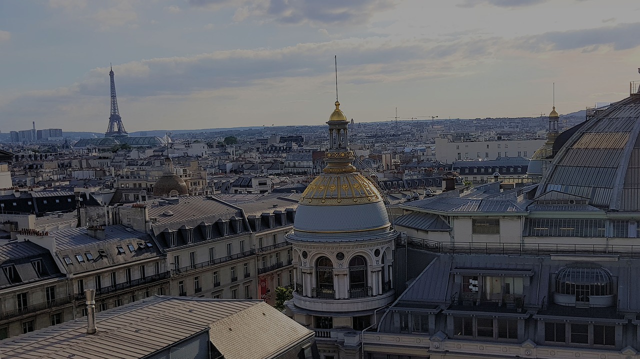 roofs of paris eiffel tower landscape free photo