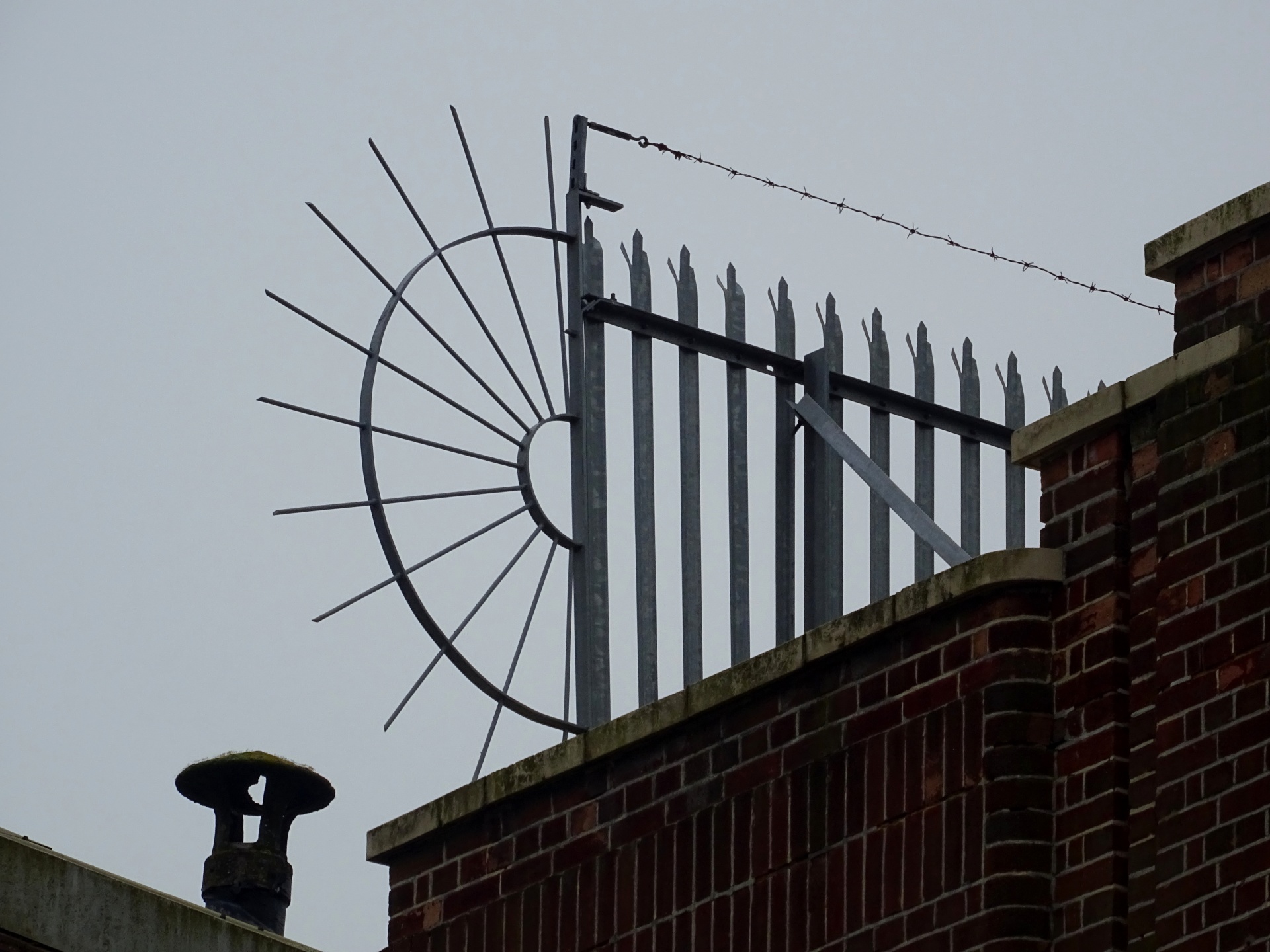 barbed wire fence free photo