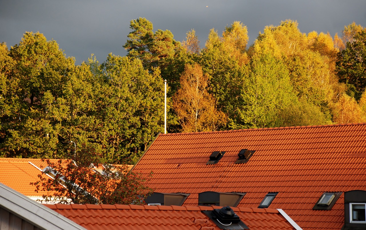 rooftops himmel autumn free photo