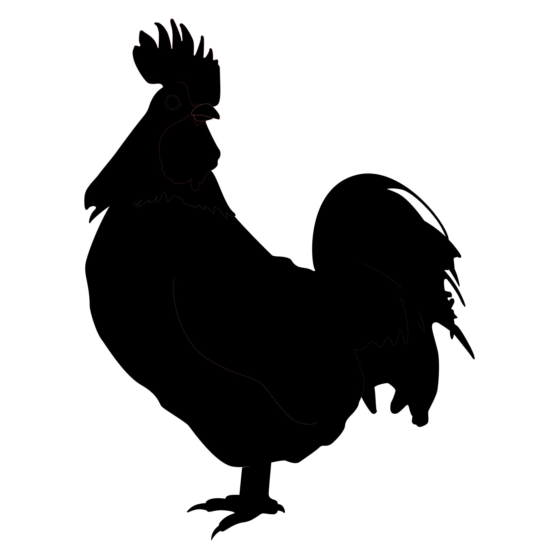 rooster hen isolated free photo