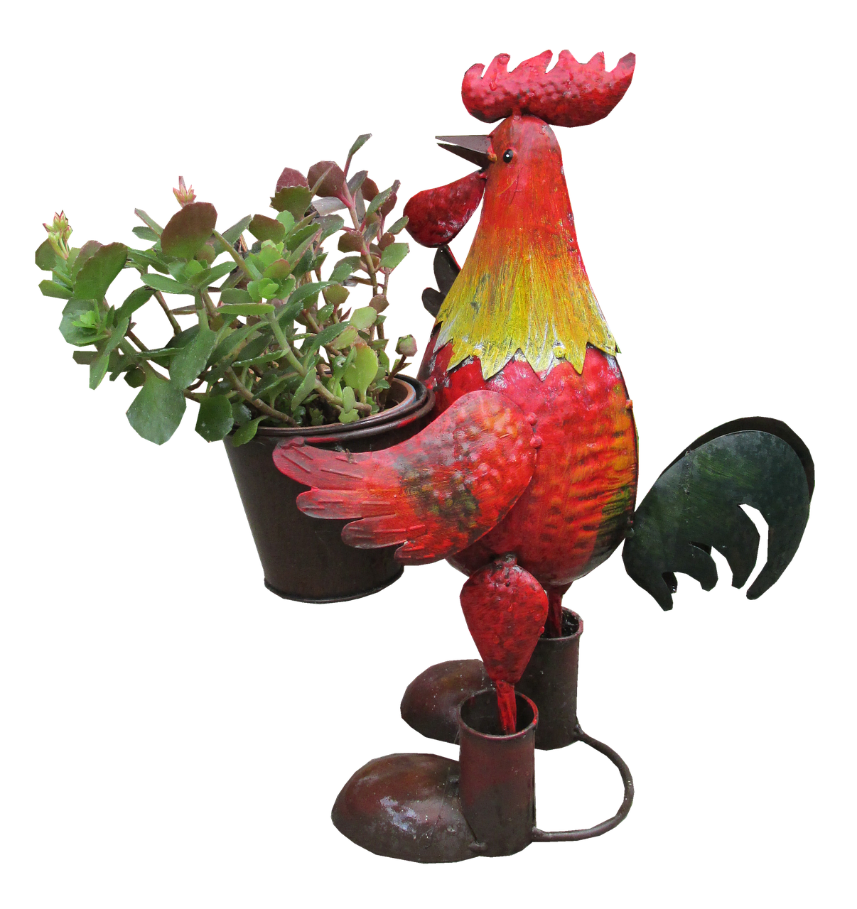 rooster planter garden free photo
