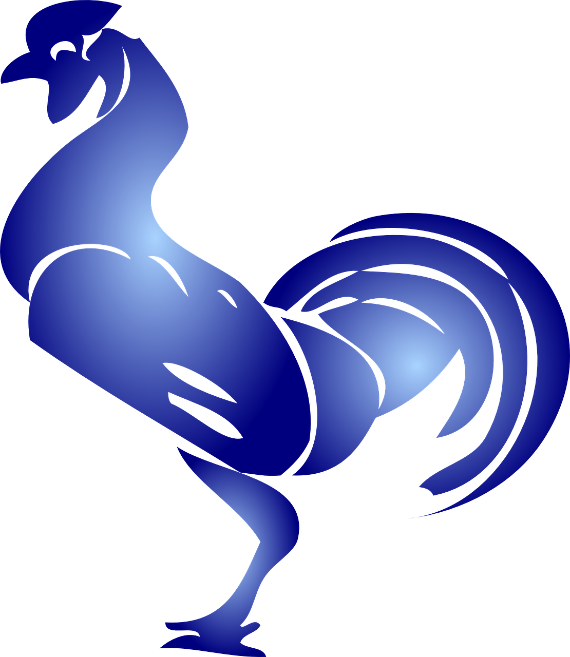 rooster blue animal free photo