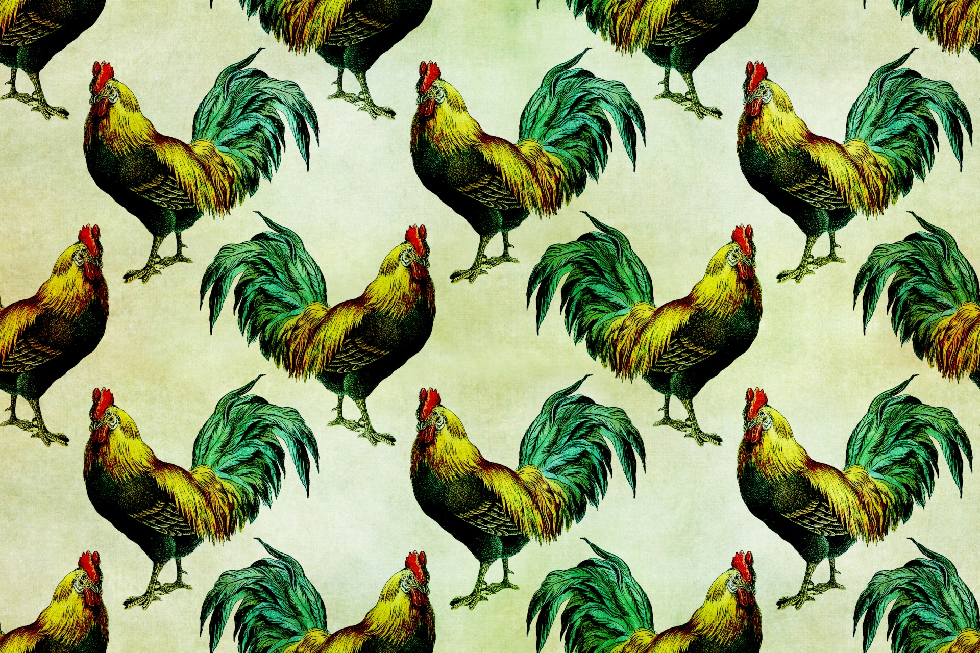 rooster vintage background free photo