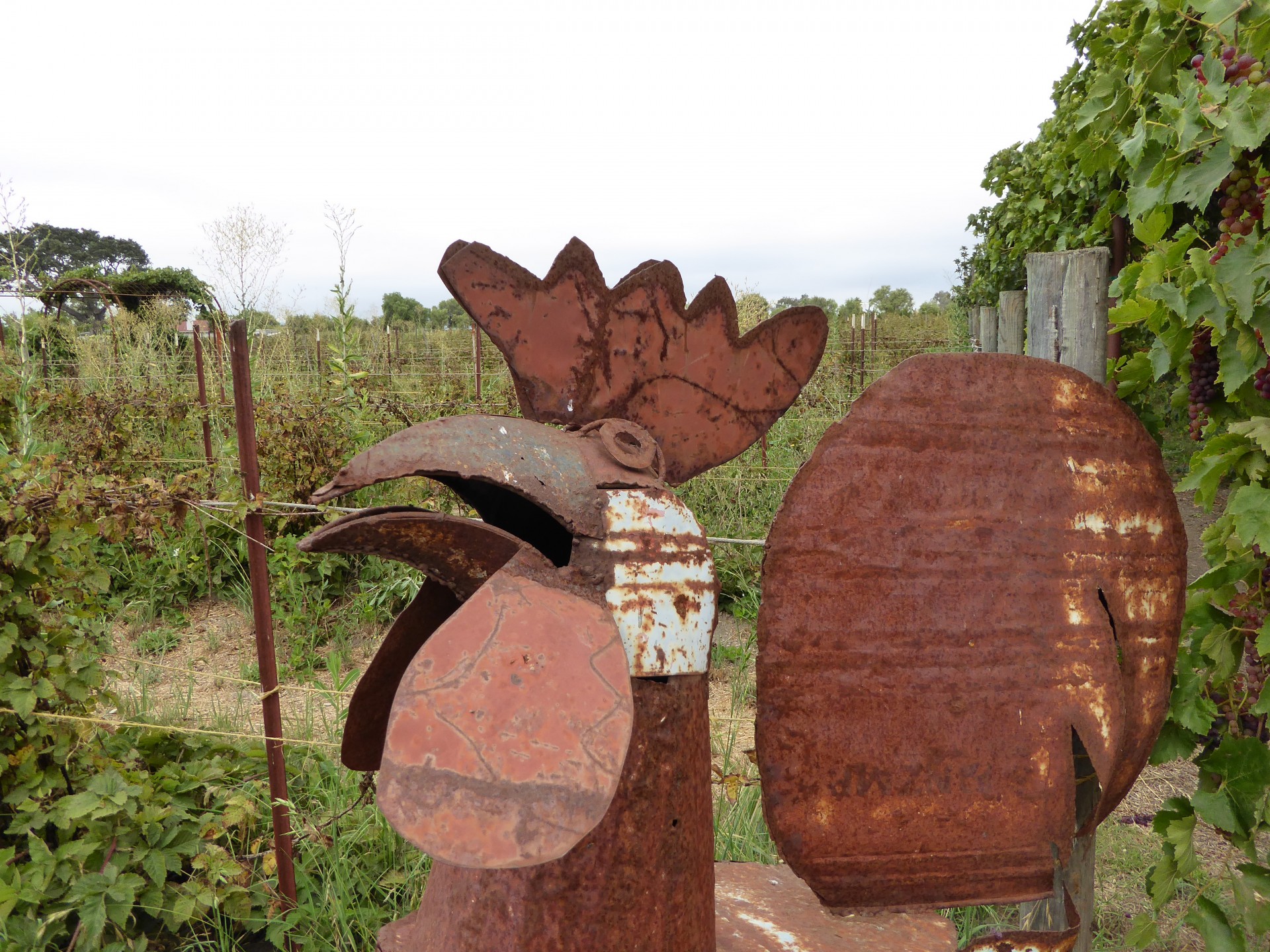rooster sculpture iron free photo