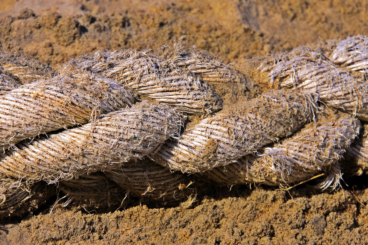 rope beach node free photo