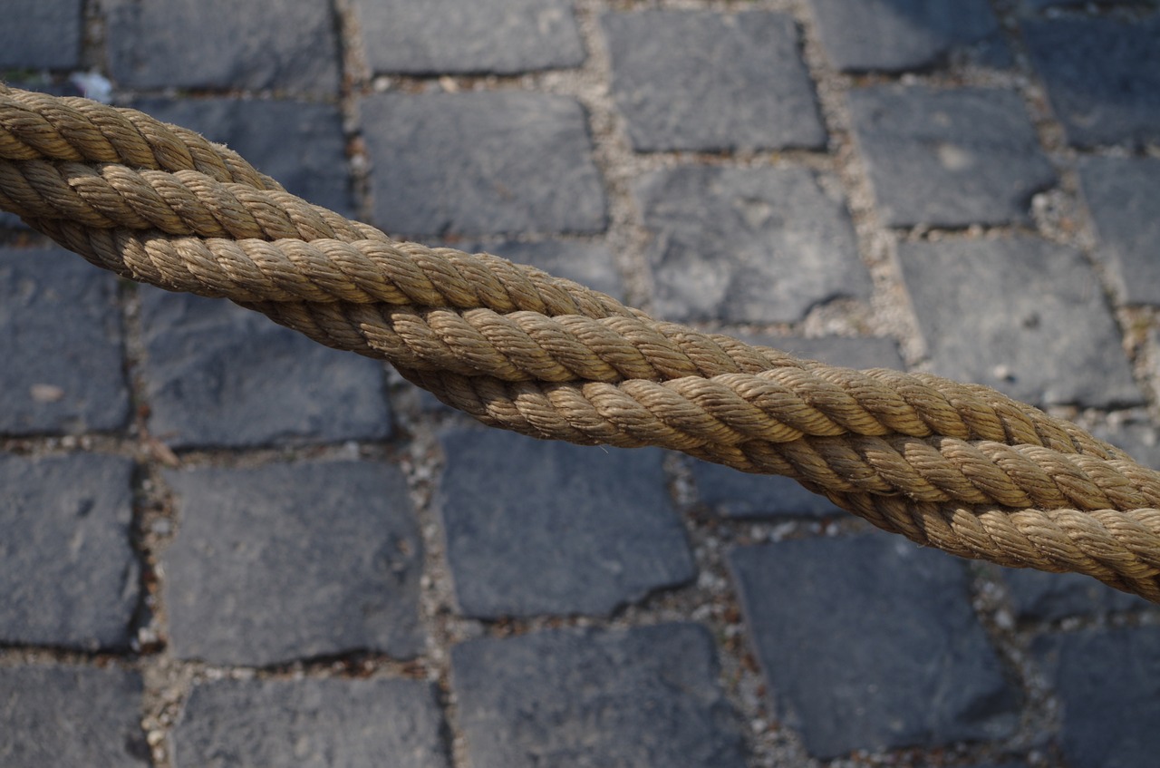 rope lasso free pictures free photo