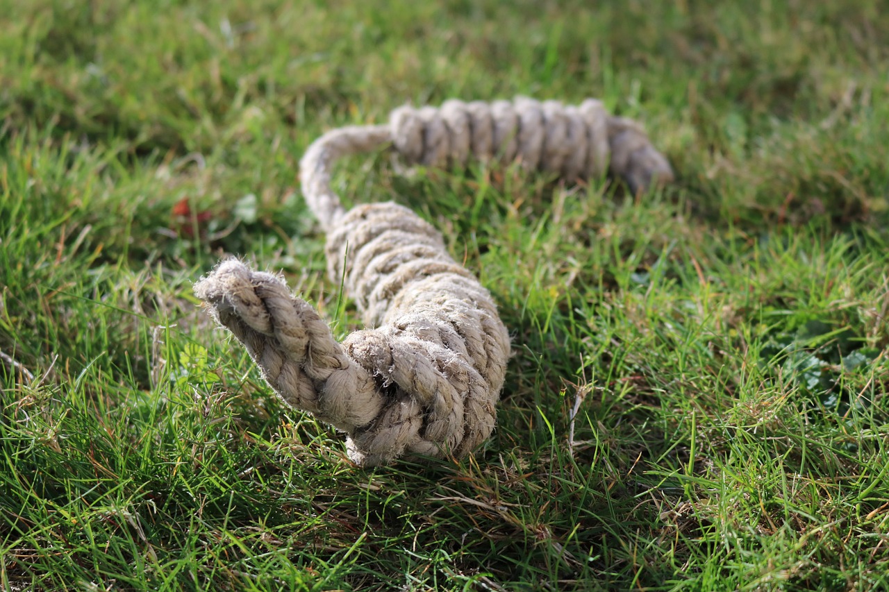 rope knot meadow free photo