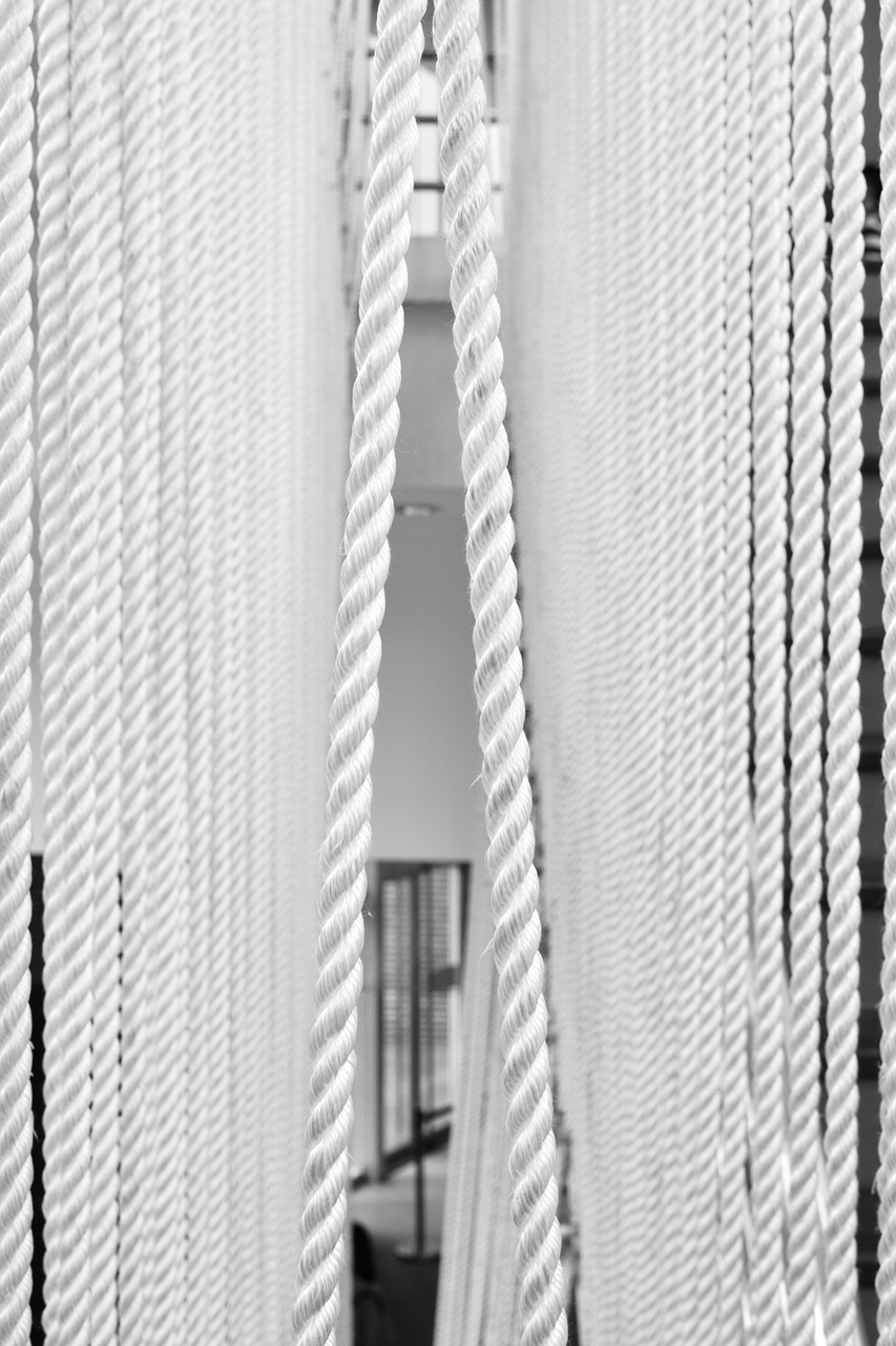 rope symmetry black and white free photo