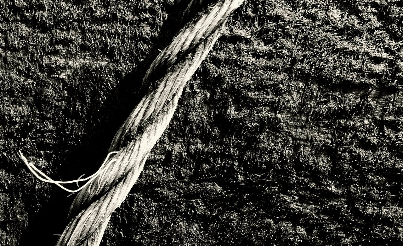 rope black and white old free photo