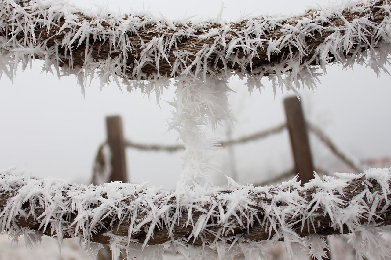 rope frost ice free photo