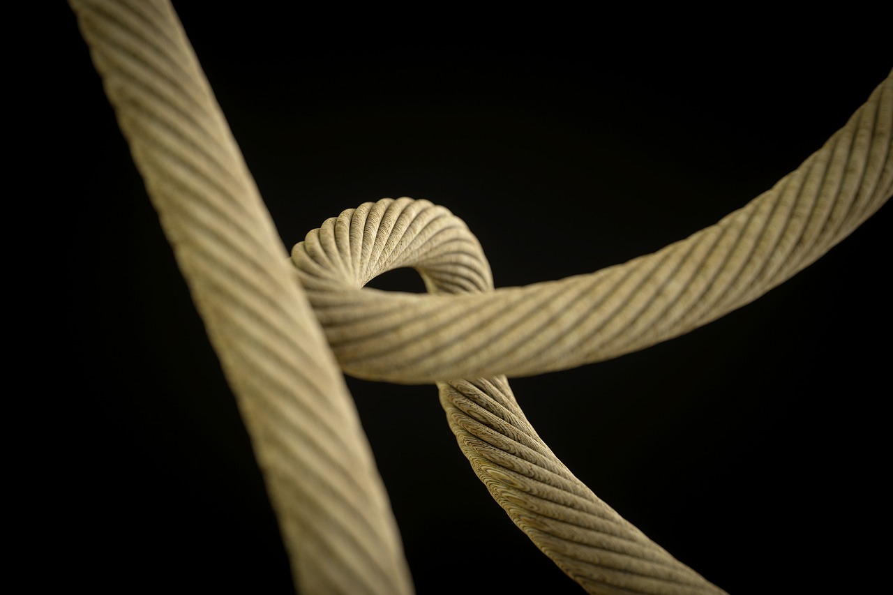 rope rope detail rope close-up free photo
