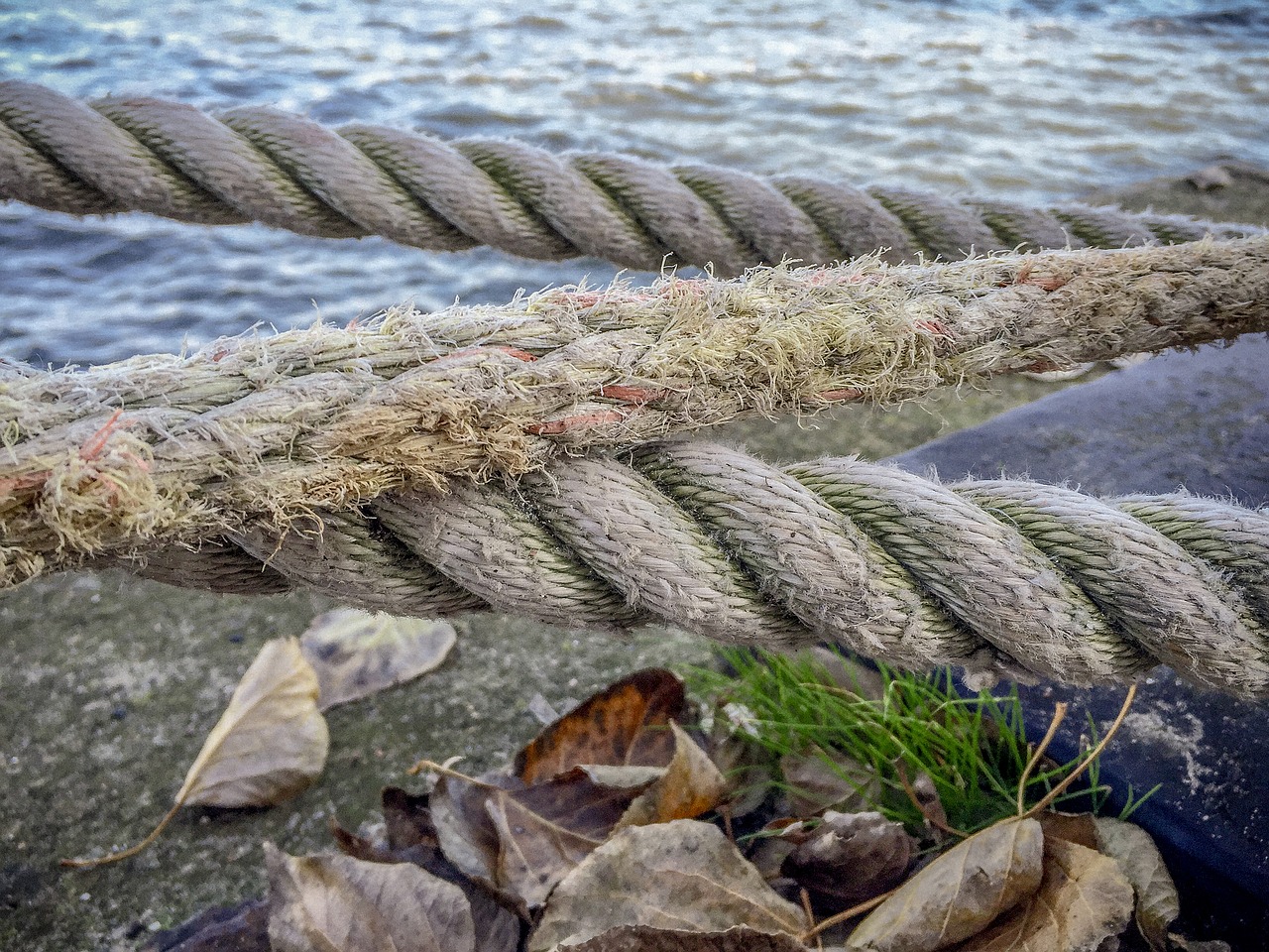 rope knot ship free photo