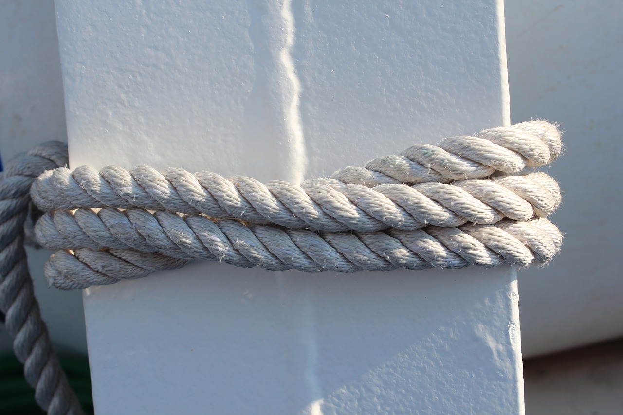 rope white clean free photo