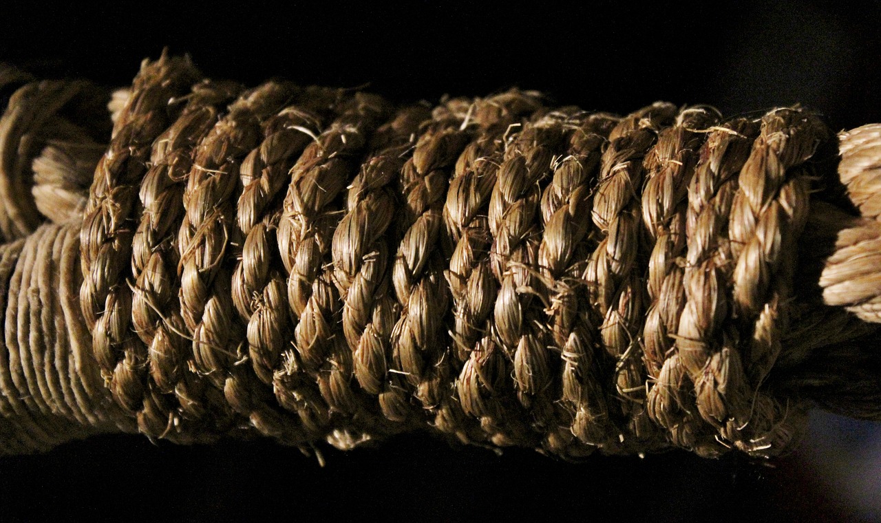 rope knot bind free photo