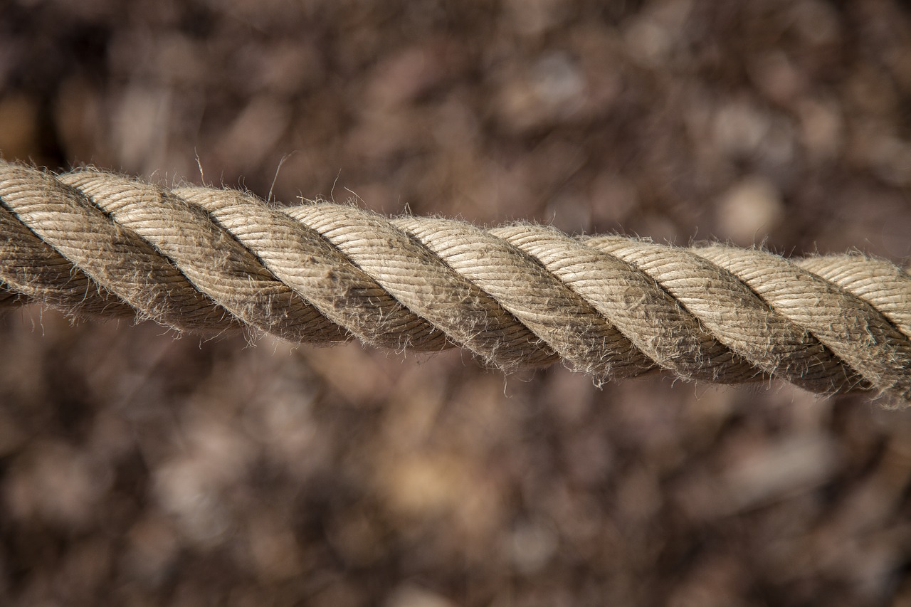 rope brown nature free photo