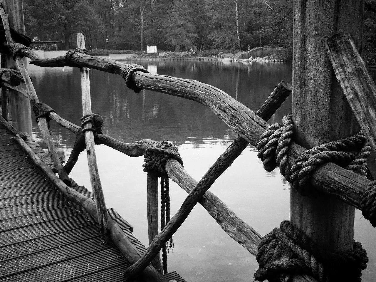 rope bridge water free photo