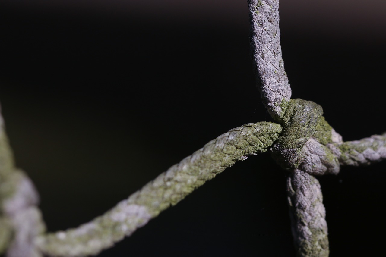 rope knot detail free photo