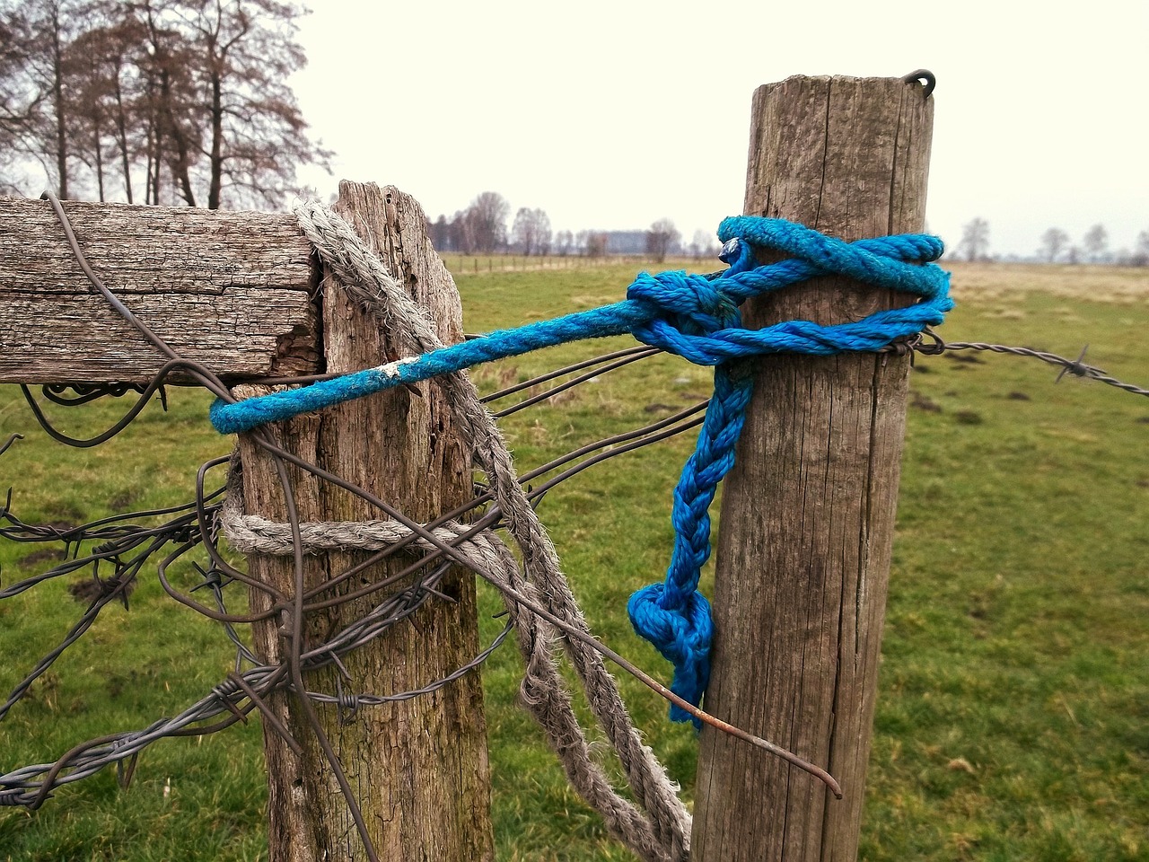 rope landscape field free photo