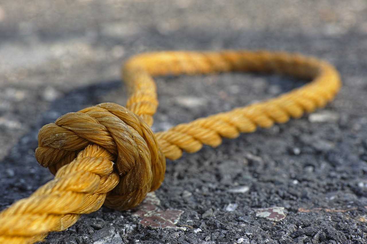 rope yellow connect free photo