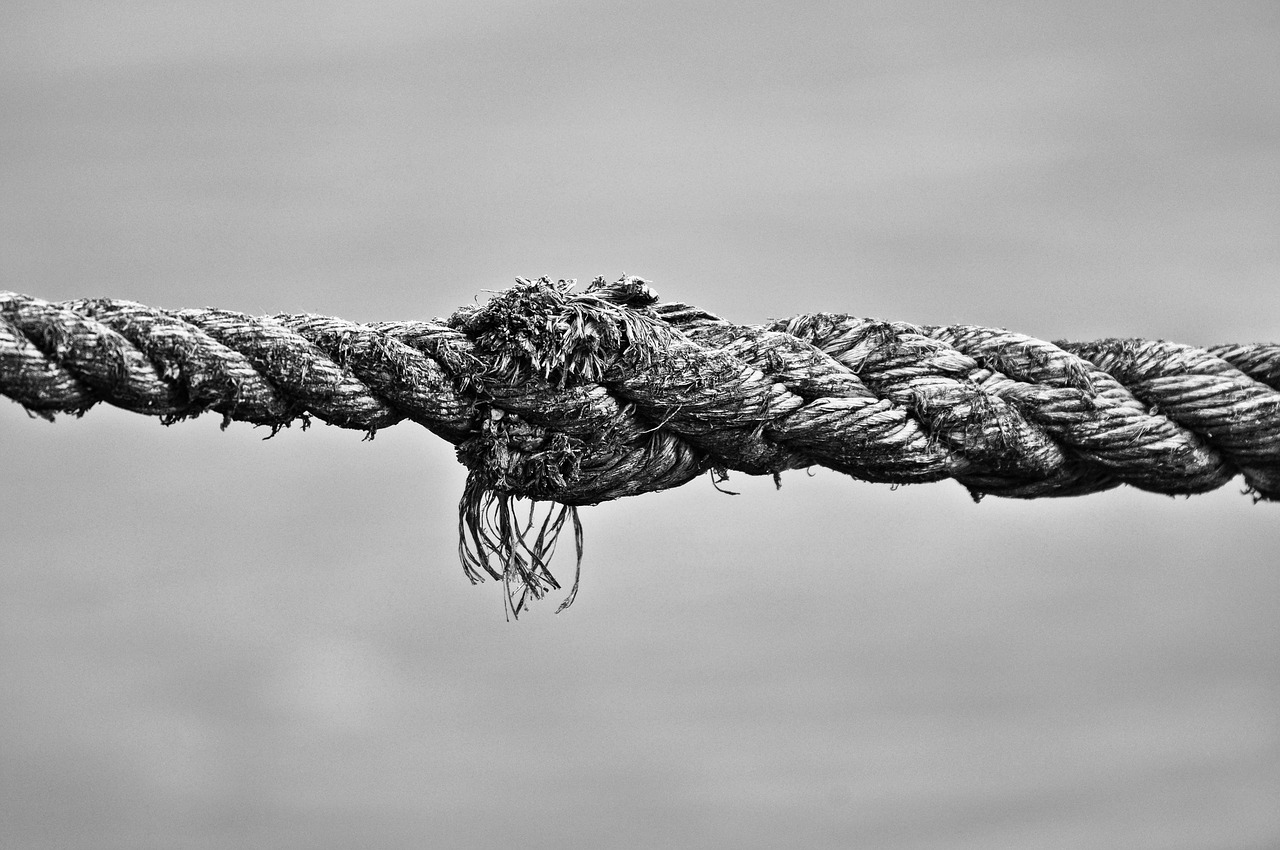 rope knot twisted free photo