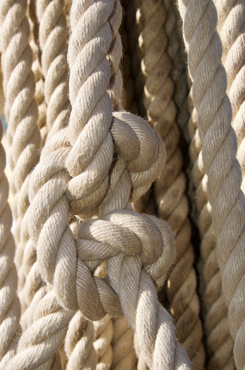 rope  knot  cordage free photo