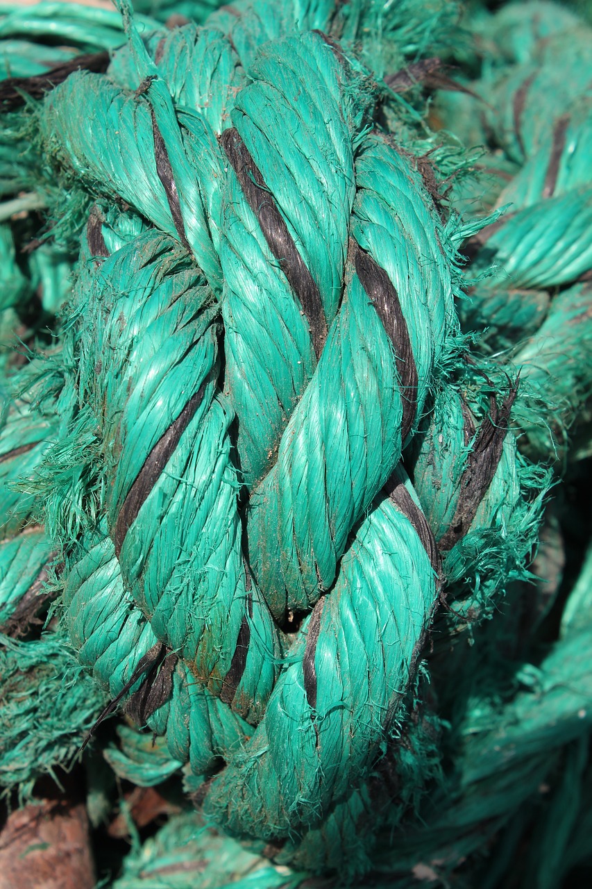 rope  twisted  green free photo