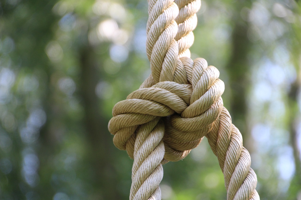 rope  knot  climbing free photo