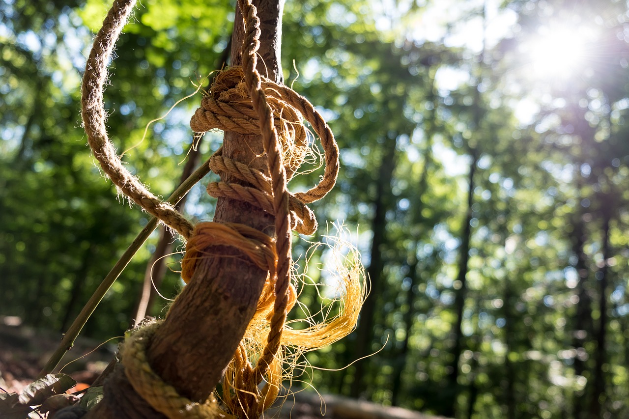 rope  playground  children free photo