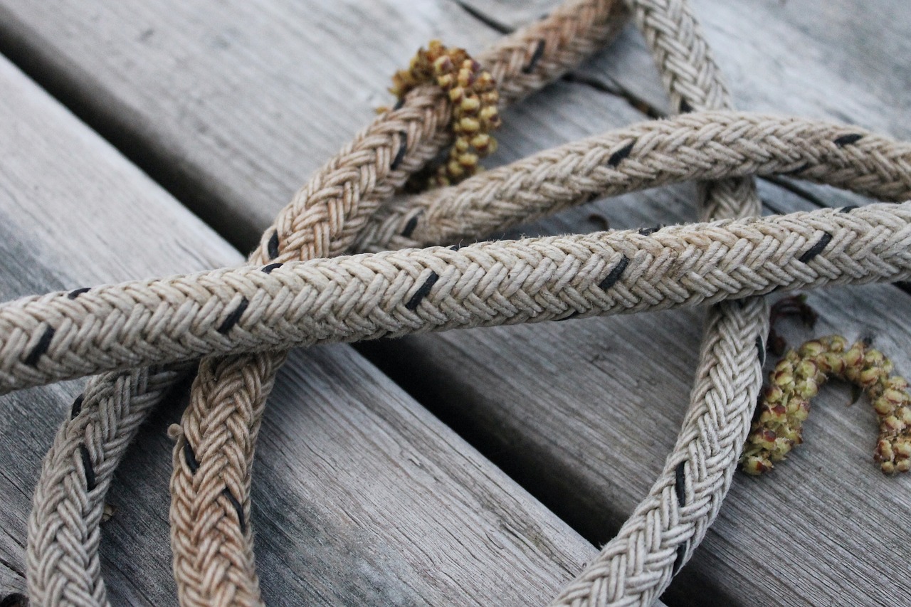 rope  wood  dock free photo