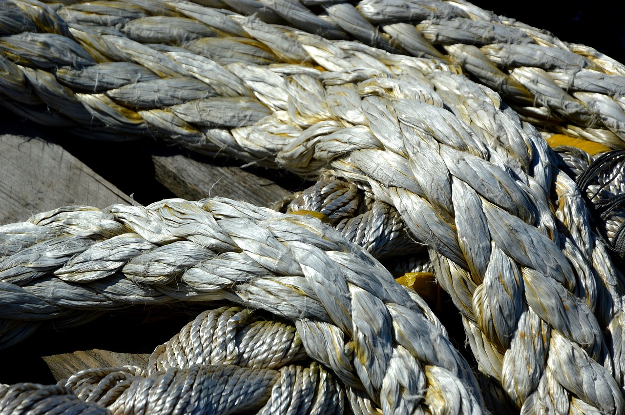 rope  dew  cordage free photo