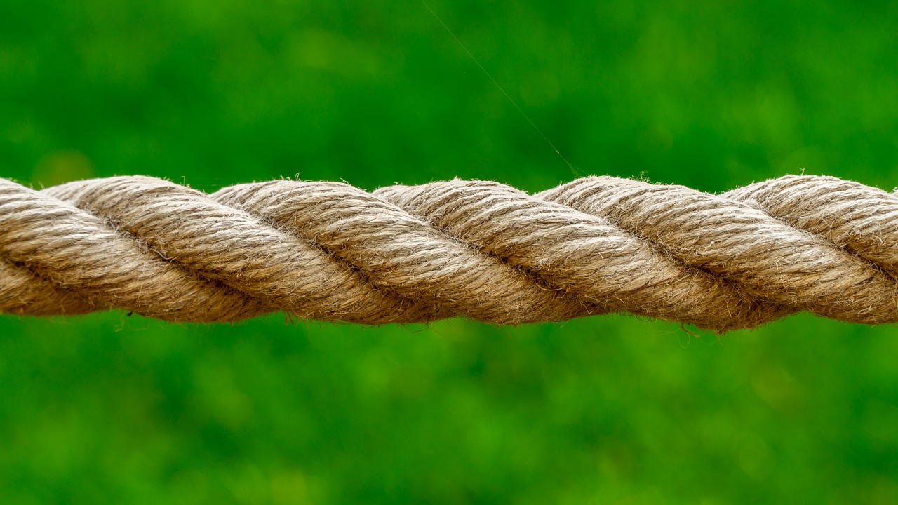 rope  green  cobweb free photo