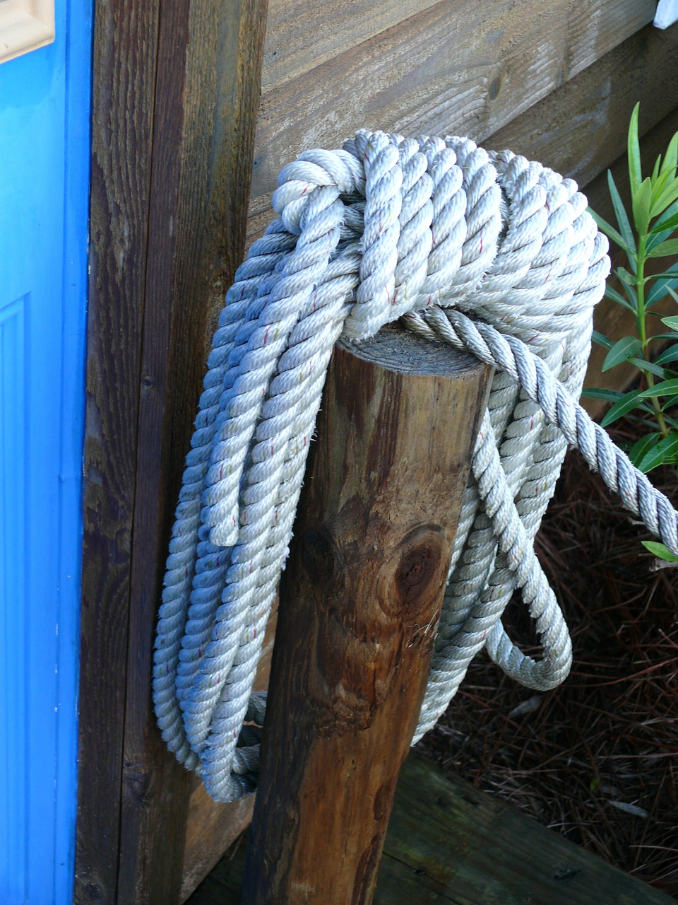 rope pier wood free photo