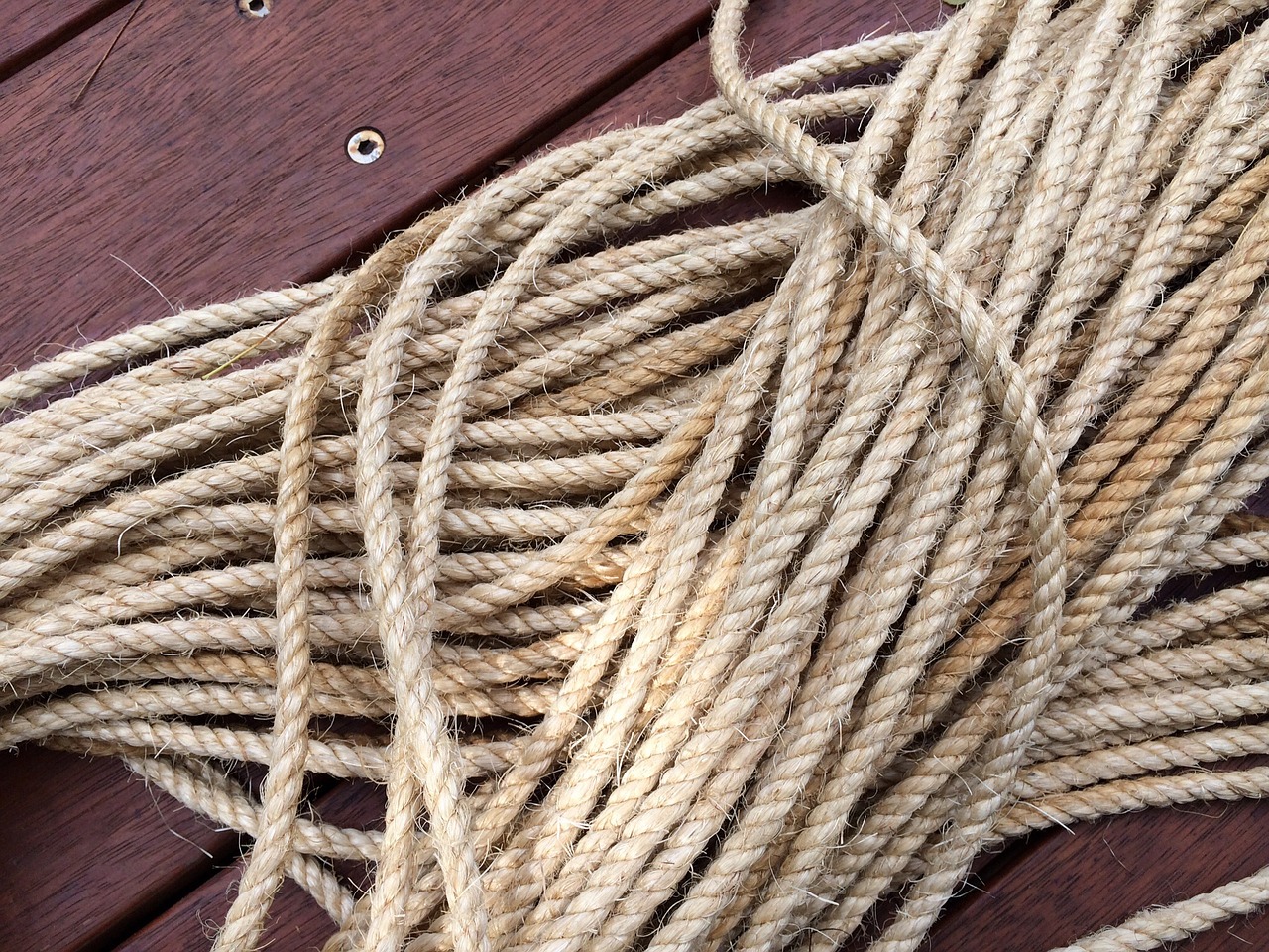 rope cord line free photo