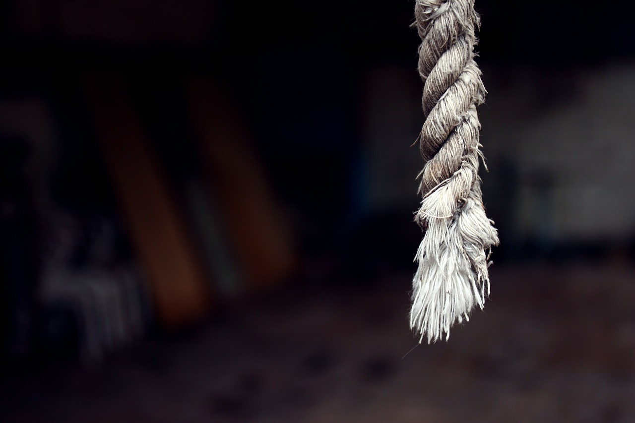 rope hanging free pictures free photo