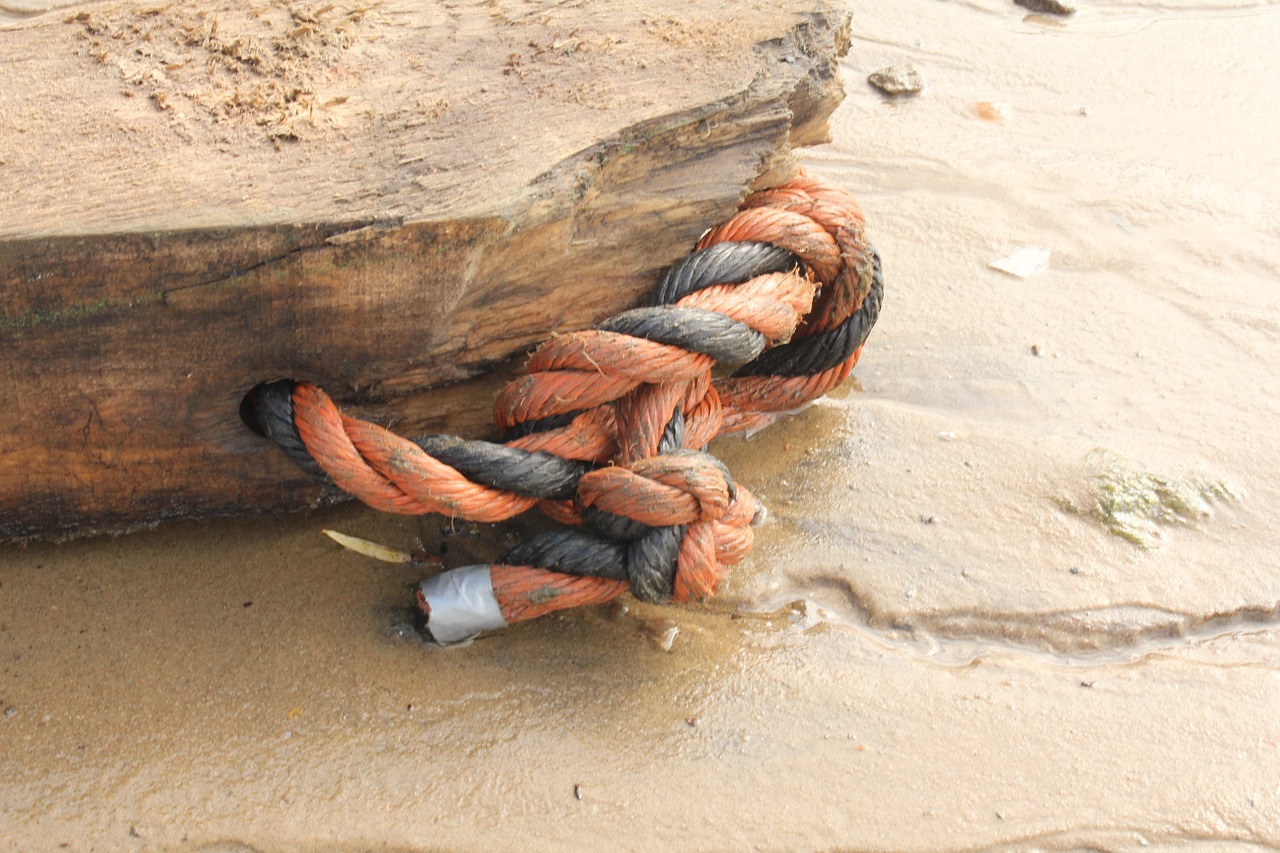 rope washed ashore fundus free photo