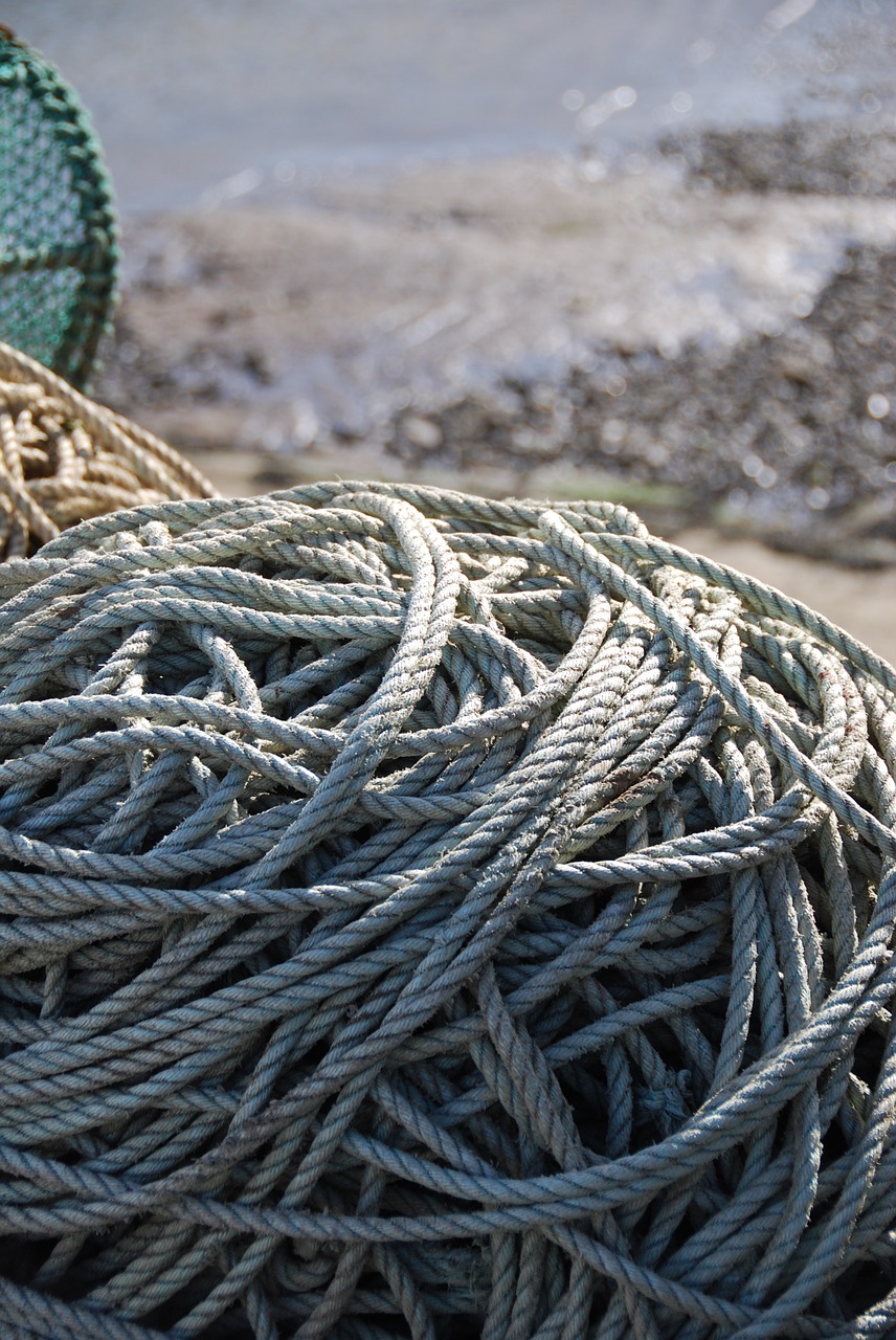 rope fishing harbor free photo