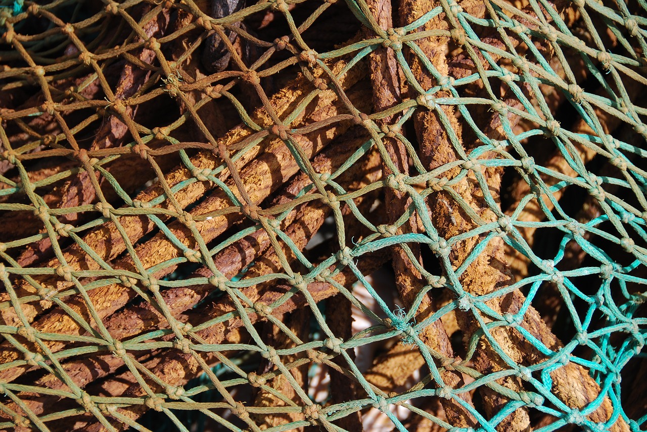 rope net texture free photo