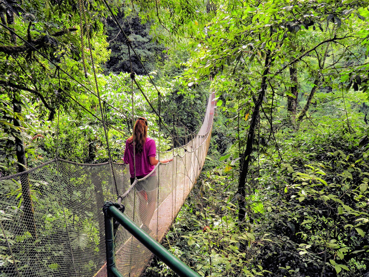 rope bridge bridge suspension bridge free photo