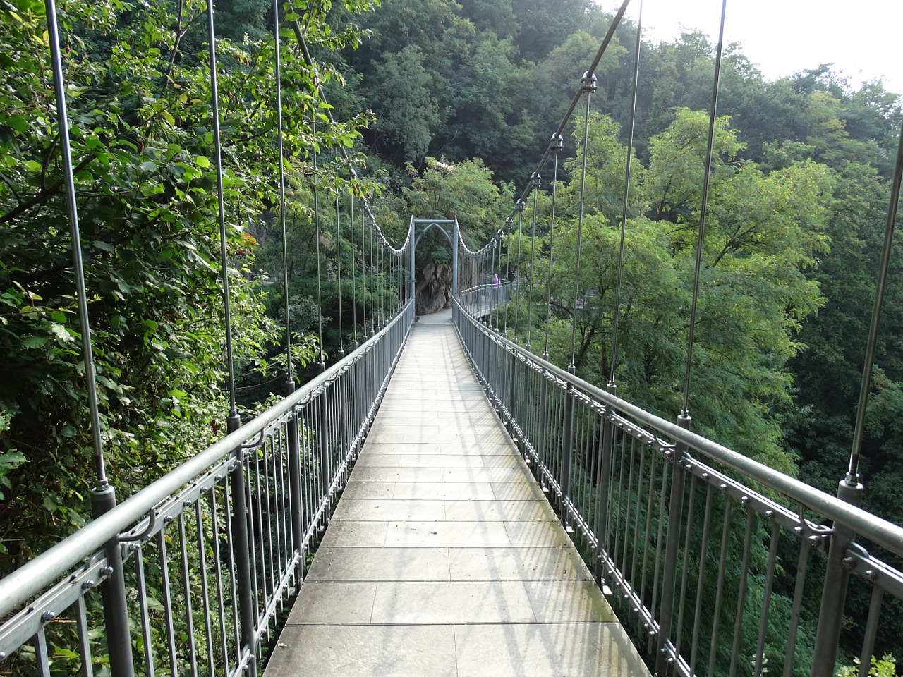 rope bridge suspension bridge bridge free photo