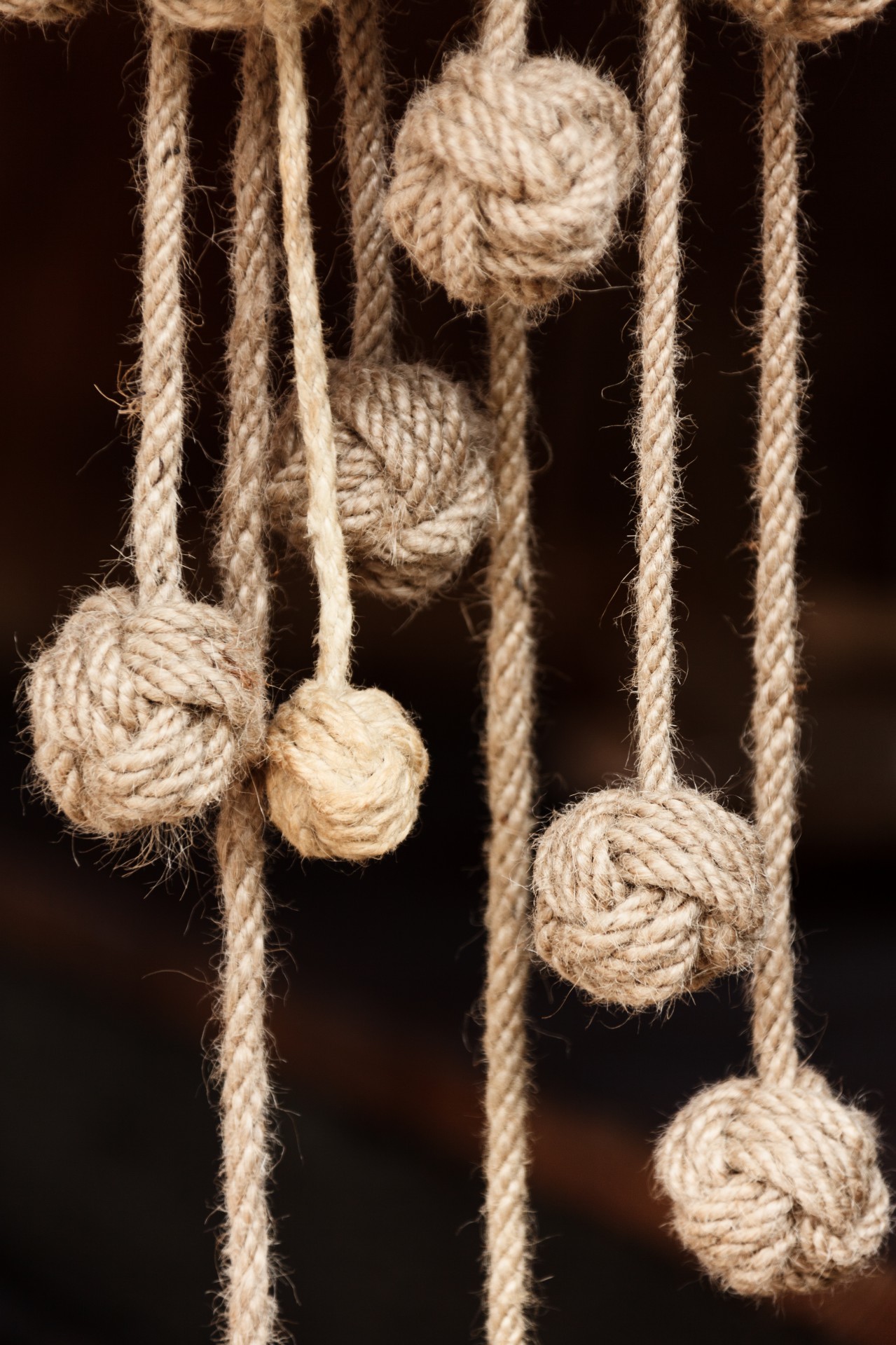 rope knot natural free photo