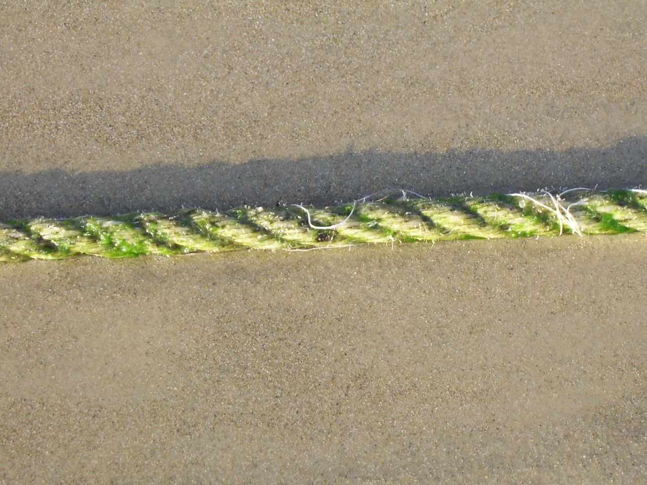 rope beach bond free photo
