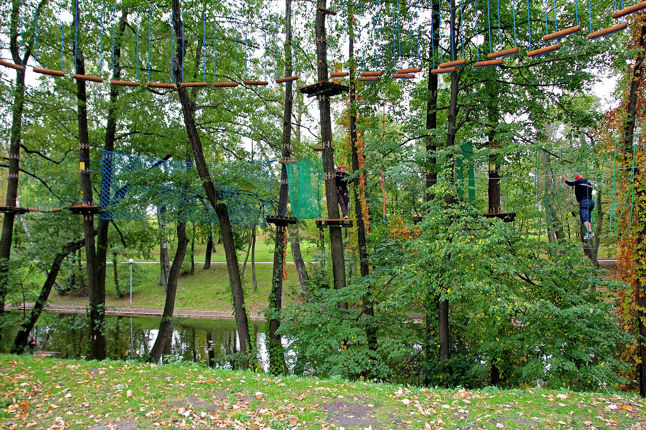 rope park monkey grove climbing free photo