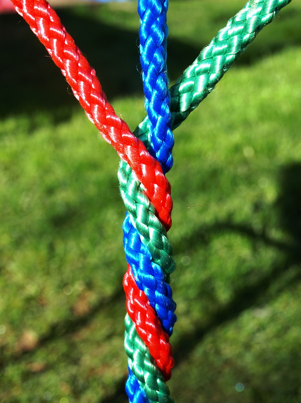 ropes color colorful free photo