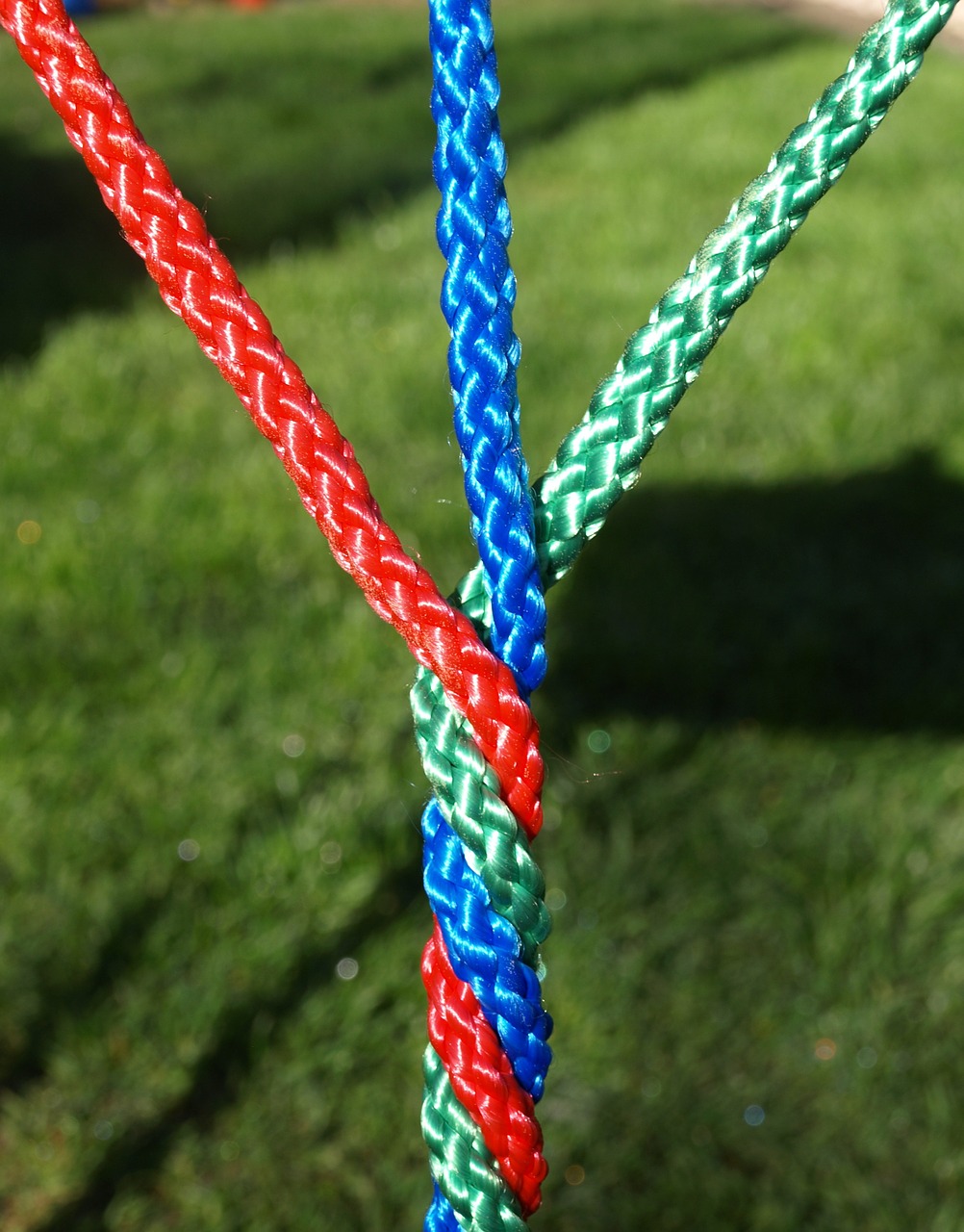 ropes colorful devoured free photo