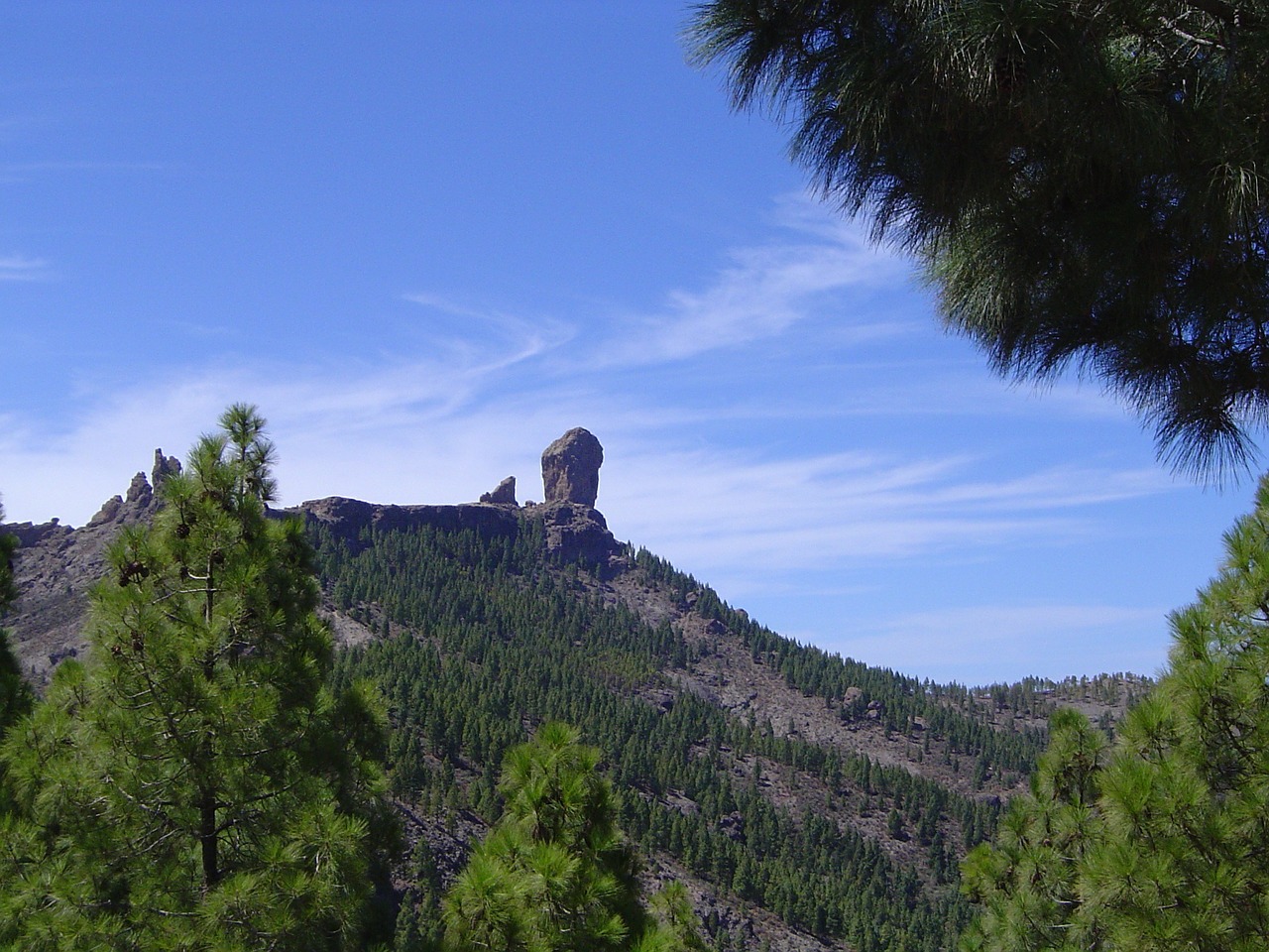 roque pine gran canaria free photo