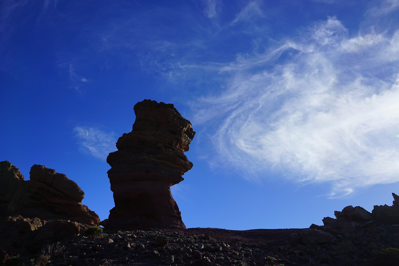 roque cinchado stone tree finger of god free photo